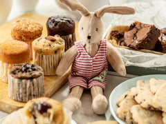 HOPE & JOY new baby hamper, moulin roty sylvian rabbit, chocolate brownie, 6 mini meg cakes, chocolate chip shortbread !